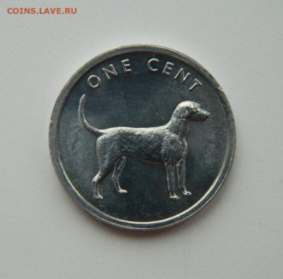 Острова Кука 1 цент 2003 г. (Собака Легавая) до 19.12.21 - DSCN1966.JPG