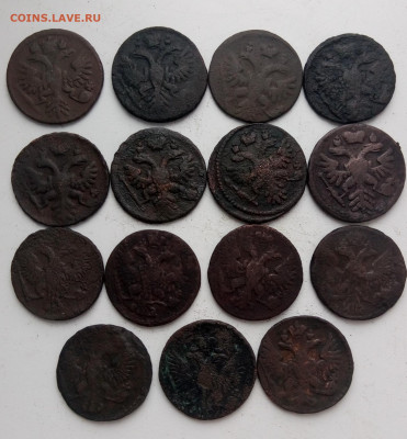 Денга 1734-1754 гг 15 монет до 19.12 - деньги_2