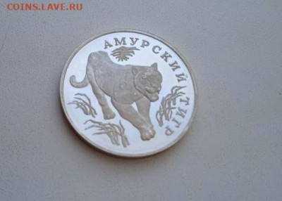 1 рубль 1993 г Амурский тигр,серебро - Тигр6