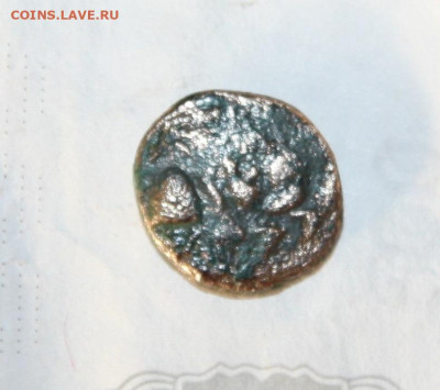 Три монеты Боспорского царства  на определение - IMG_7605.JPG