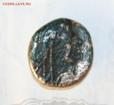 Три монеты Боспорского царства  на определение - IMG_7606.JPG