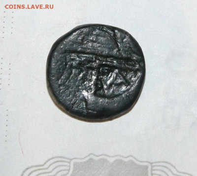 Три монеты Боспорского царства  на определение - IMG_7607.JPG