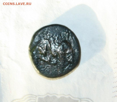 Три монеты Боспорского царства  на определение - IMG_7608.JPG