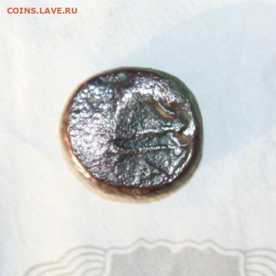 Три монеты Боспорского царства  на определение - IMG_7610.JPG