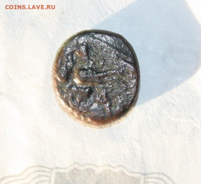 Три монеты Боспорского царства  на определение - IMG_7611.JPG