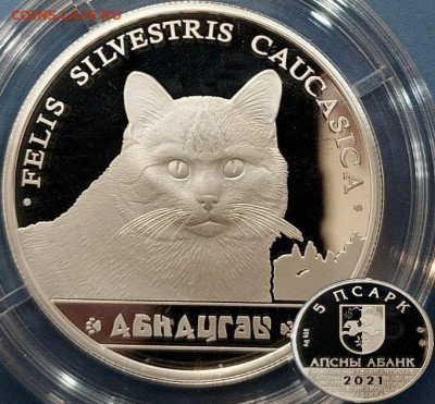 Кошки на монетах - лесная кошка