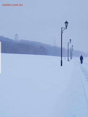 Угадай результат на PARKRUN Коломенское (22.01.2022) - Screenshot_20220122-120726_Gallery