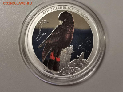50 центов 2013 Австралия- Какаду, серебро. Ag999, до 05.03 - Я Попугай-1