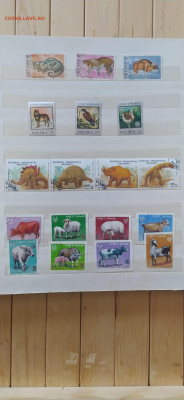 Коллекция марок советского периода (фауна) - 11