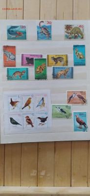 Коллекция марок советского периода (фауна) - 19
