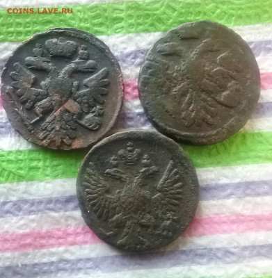 3 монеты денга 1738 - 1750 гг до 09.05.2022 в 22 Мск - 20220504_163157 а