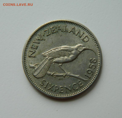 Новая Зеландия 6 пенсов 1958 г. (Фауна) до 16.05.22 - DSCN5755.JPG