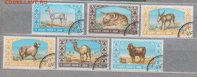 Иордания 1967 фауна до 17 05 - 3б