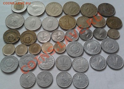 Монеты разных стран и номиналов. (пополняемая) - 2011-11-20 15.59.12