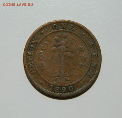 Британский Цейлон 1 цент 1890 г. до 16.06.22 - DSCN6682.JPG
