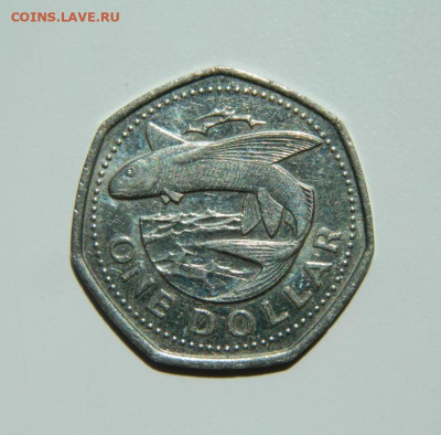 Барбадос 1 доллар 2000 г. (Фауна) до 22.06.22 - DSCN0324.JPG