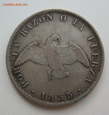 Монеты достоинством "50", выпущенные в странах Америки - 88868189