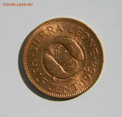 2 цента 1964 г.(Рыбы)  до 05.07.22 - DSCN0773.JPG
