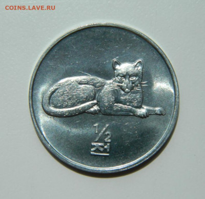 2 чон 2002 г.(Юбилейная) Кошка до 14.07.22 - DSCN0384.JPG