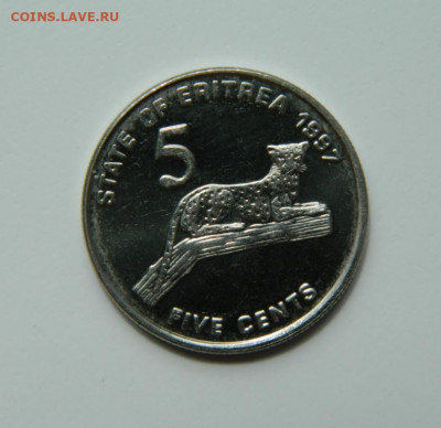 Эритрея 5 центов 1997 г. (Фауна) до 14.07.22 - DSCN5922.JPG