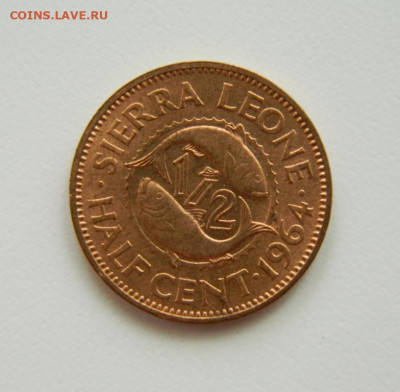 2 цента 1964 г.(Рыбы)  до 18.07.22 - DSCN1296.JPG