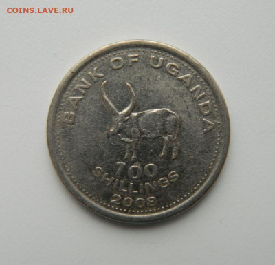 Уганда 100 шиллингов 2008 г. (Фауна) до 24.10.22 - DSCN3384.JPG