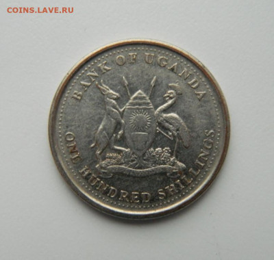 Уганда 100 шиллингов 2008 г. (Фауна) до 24.10.22 - DSCN3385.JPG