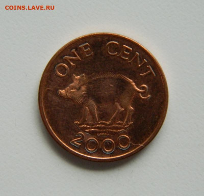 Бермудские острова 1 цент 2000 г. (Фауна). до 01.11.22 - DSCN2991.JPG
