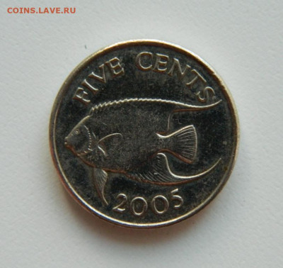 Бермудские острова 5 центов 2005 г. (Фауна). до 22.11.22 - DSCN4260.JPG