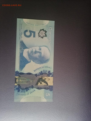 5 долларов канады 2013г пресс - IMG_20220426_070355