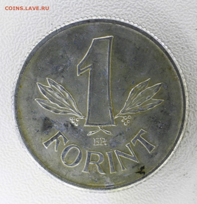 Венгрия 1 форинт, 1967 с 10р до  07.01.23 22.00 - _MG_3044.JPG