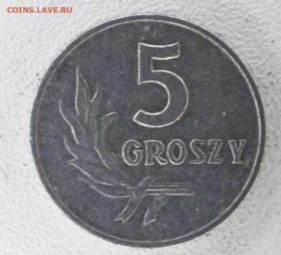 Польша 5 грошей, 1962 с 20 до  07.01.23 22.00 - _MG_3084.JPG