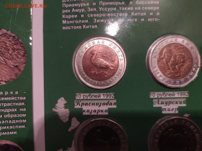 красная книга 15 монет  подлинность - 2022-11-21 06-45-15.JPG