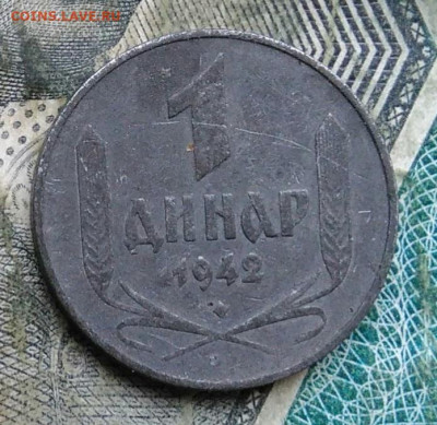 Сербия 1 динар 1942 года до 17.01.2023 - IMG_20230112_124748