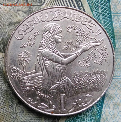 Тунис 1 динар 2011 года до 17.01.2023 - IMG_20230111_205752