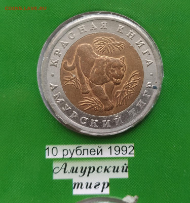 красная книга 15 монет  подлинность - 2023-01-17 12-21-18.JPG