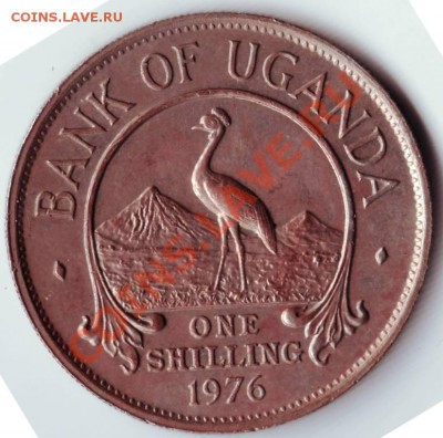 1 шилинг 1976 Уганда до 15.12.11г. в 19.00 - 50014.JPG