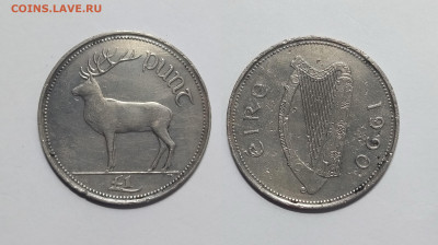 Ирландия 1 фунт 1990 года олень - 21.02 - IMG_20230215_072545