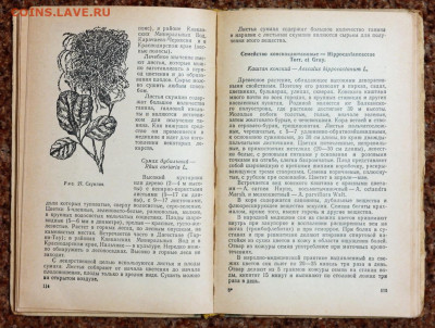 "Лекарственные растения и их применение" 1969г. - лекарственные растения и их применение 1969 2.JPG