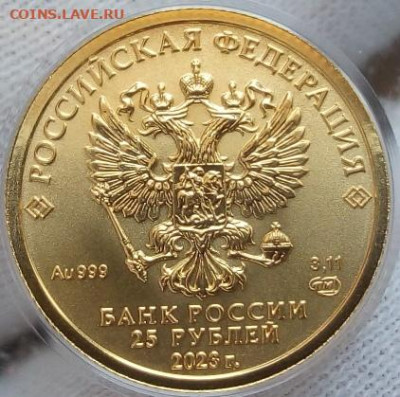 25 Рублей 2023 Победоносец 3,11 гр 999пр (1) UNC до 28.06.23 - IMG_20230627_155142