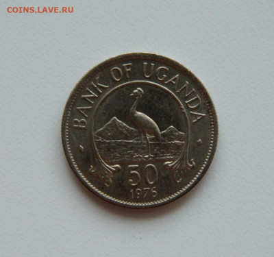 Уганда 50 центов 1976 г. (Фауна)  до 02.08.23 - DSCN3611.JPG
