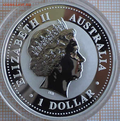 Австралия 1 доллар 2007 г. свинья цв, до 04.09.2023 г. в 22. - Австралия 1 доллар 2007 свинья цветнаяы1