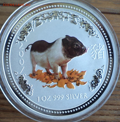 Австралия 1 доллар 2007 г. свинья цв, до 04.09.2023 г. в 22. - Австралия 1 доллар 2007 свинья цветная11