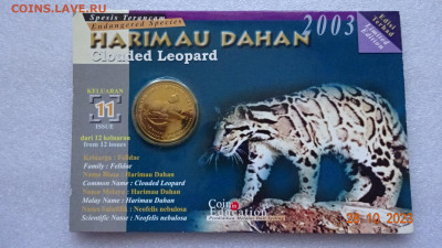 25 сен Малайзия 2003 Вымирающие виды - Дымчатый леопард - DSC04038.JPG