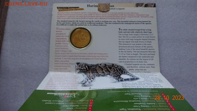 25 сен Малайзия 2003 Вымирающие виды - Дымчатый леопард - DSC04039.JPG