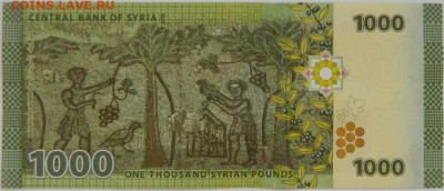 Сирия 1000 фунтов 2013 г.  до 13.12.23 - DSCN7993.JPG