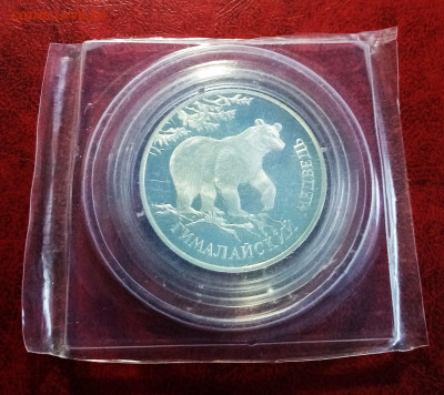 К.К. 1 руб 1994 г Гималайский медведь ( запайка ) до 15.12 - кк1