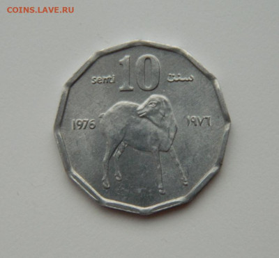Сомали 10 центов 1976 г. (Фауна)  до 04.01.24 - DSCN8908.JPG
