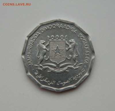 Сомали 10 центов 1976 г. (Фауна)  до 04.01.24 - DSCN8909.JPG