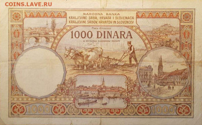 Рассказ о деньгах Королевства сербов, хорватов и словенцев - 1000 динаров (2)